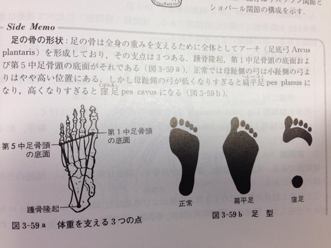 00315 - 【百本コラム】二本目：『足部の機能解剖と運動連鎖』