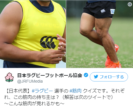 日本代表 この筋肉の持ち主は 日本ラグビー協会 筋肉クイズ を連続ツイート 筋肉バカドットコム 筋肉から派生するあらゆるコンテンツを楽しむ総合メディアポータルサイト
