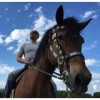 160318 100x100 - 松本人志「暑中お見舞い申し上げます」馬に乗った写真を公開しラオウ化へ
