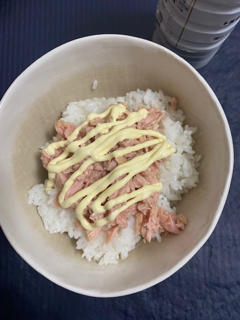 IMG 4293 - 【秘伝】数千種類以上存在するどんぶり飯。「頭悪い丼」は100万円以上の価値を持つ戦士飯